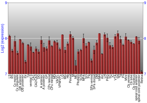 Expression graph