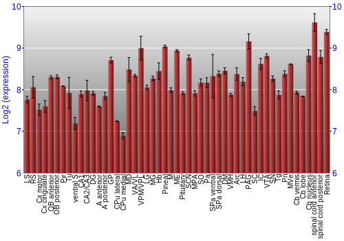 Expression graph