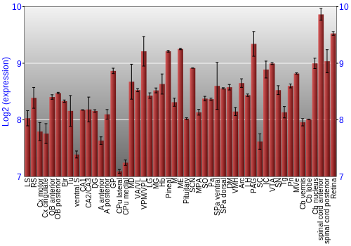 Expression graph