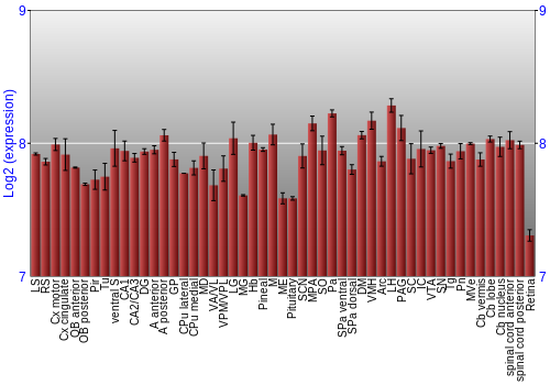 Expression graph