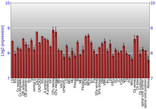 Expression graph