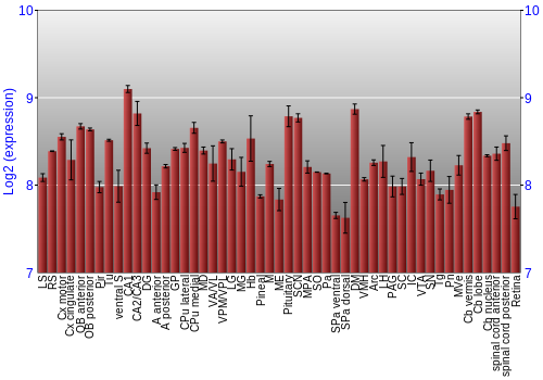 Expression graph