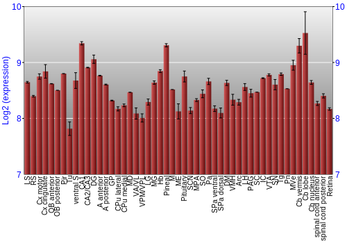 Expression graph
