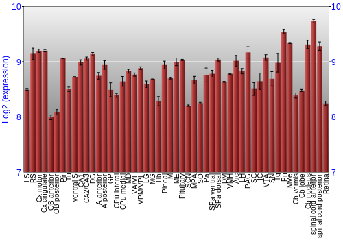 Expression graph