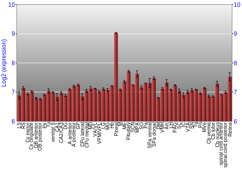 Expression graph