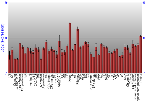 Expression graph