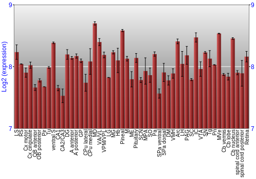 Expression graph