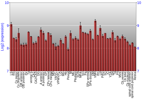Expression graph