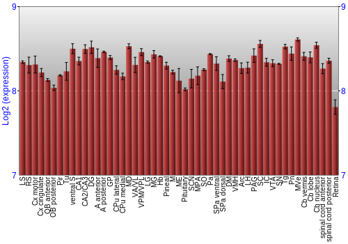 Expression graph