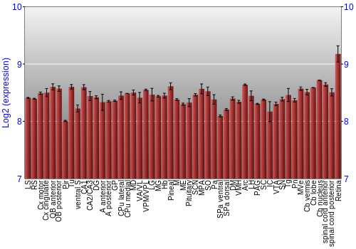 Expression graph