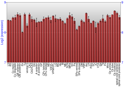 Multi-state expression graph