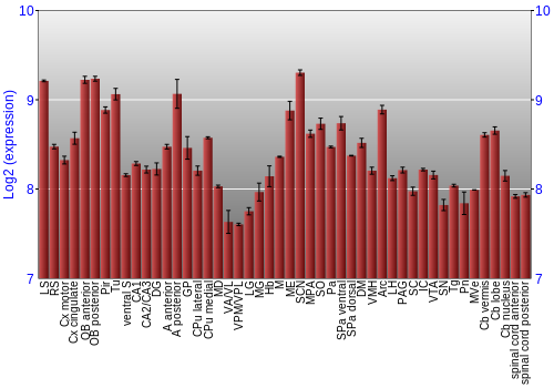 Multi-state expression graph