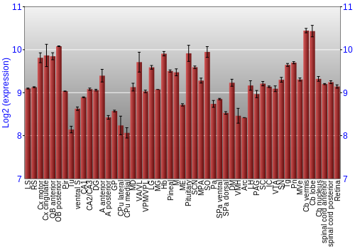 Expression graph