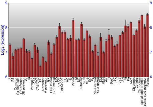 Expression graph