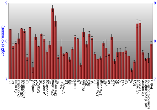 Expression graph