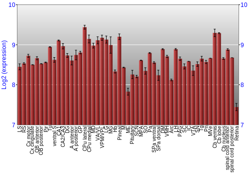 Expression graph