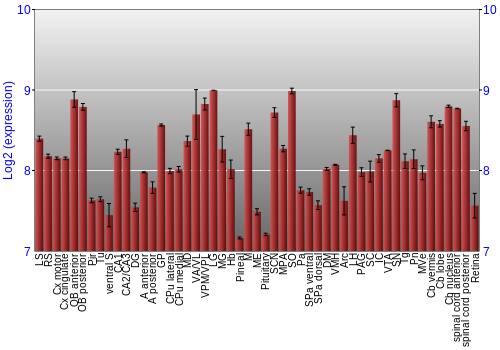 Expression graph