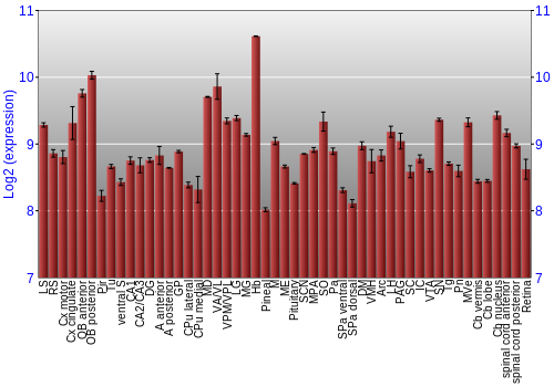 Expression graph
