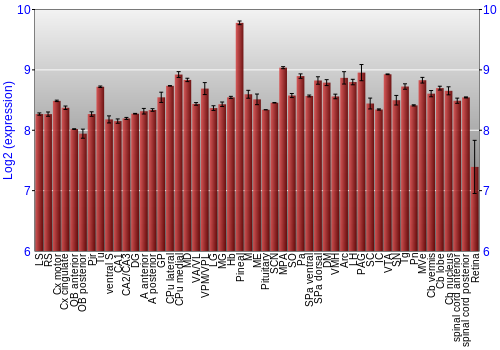Expression graph
