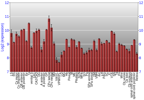 Expression graph