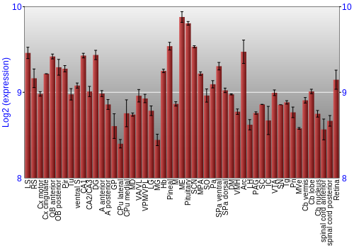 Expression graph