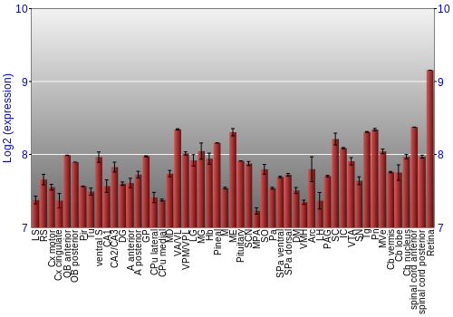 Expression graph