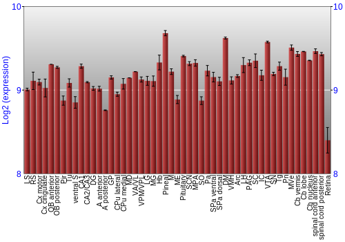 Expression graph