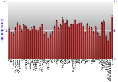 Expression graph
