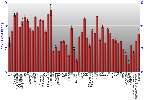 Expression graph