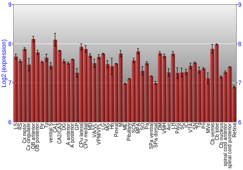 Expression graph
