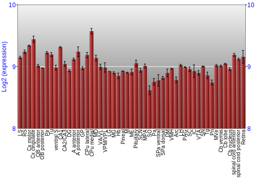 Expression graph