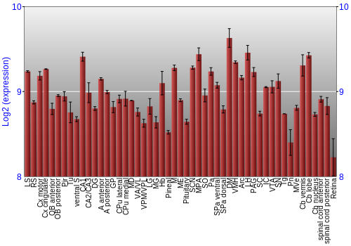 Expression graph