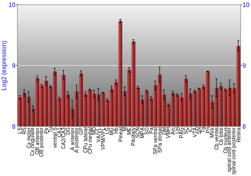 Expression graph