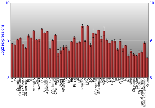 Expression graph