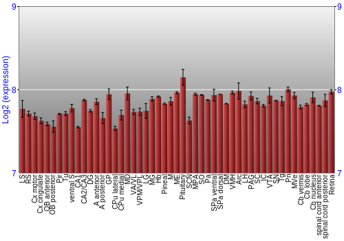 Expression graph