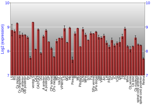 Expression graph