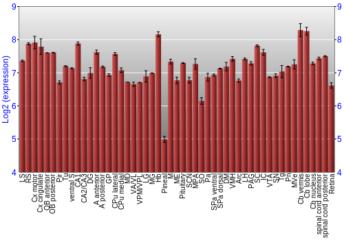 Expression graph