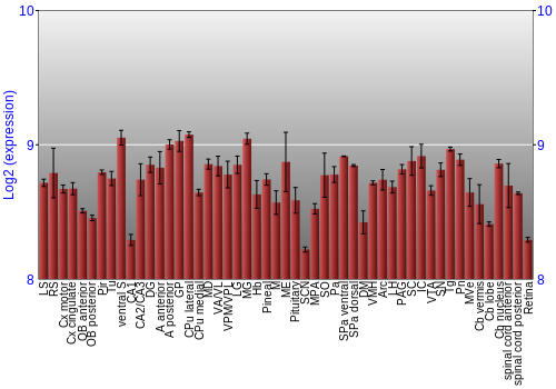 Expression graph