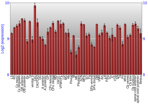 Expression graph