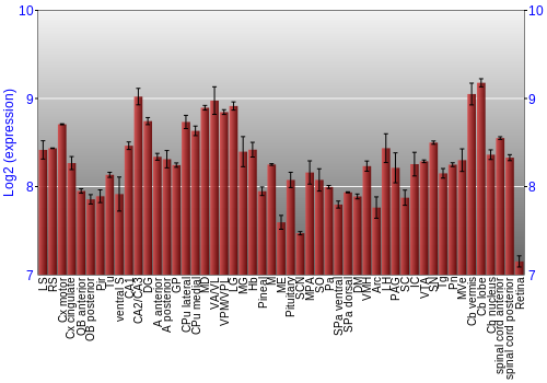 Expression graph