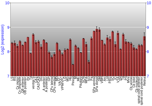 Expression graph