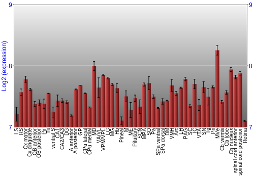 Expression graph