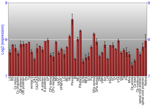 Expression graph