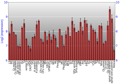 Expression graph