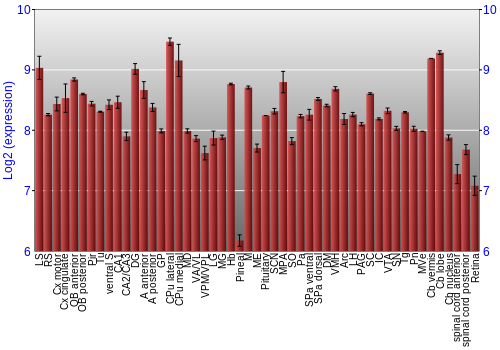 Expression graph