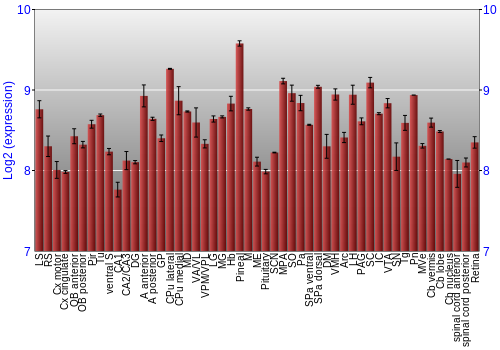 Expression graph