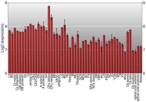 Expression graph