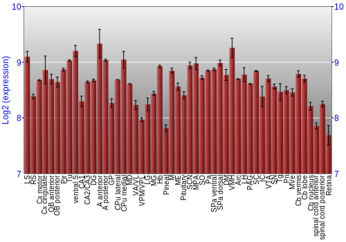 Expression graph