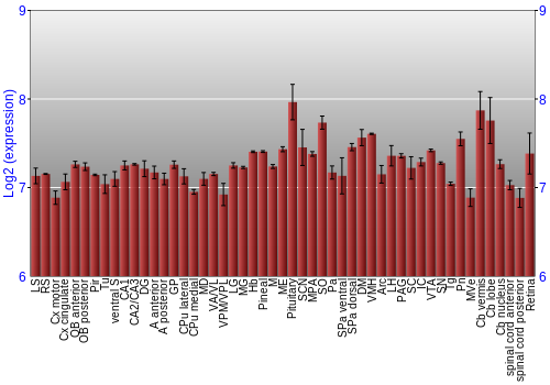 Expression graph