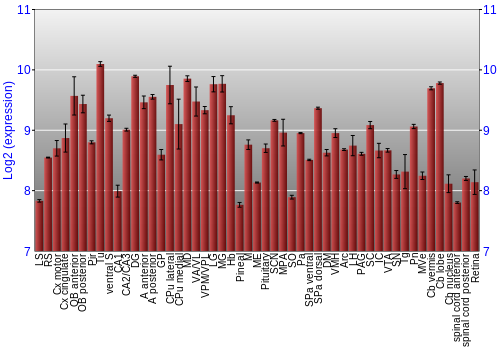 Expression graph